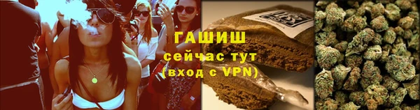 сатива Волосово