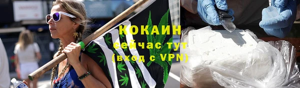 сатива Волосово