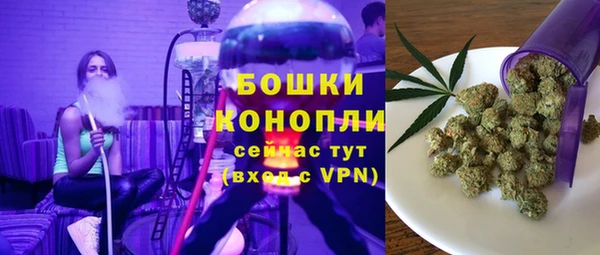 сатива Волосово