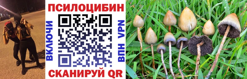 Галлюциногенные грибы Psilocybine cubensis  Купить где  Белая Холуница 